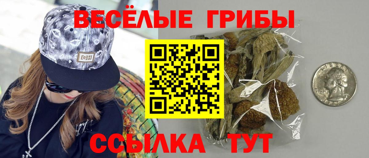 Псилоцибиновые грибы Psilocybine cubensis  Вход с VPN  Калининград  наркота  Галлюциногенные грибы Cubensis 